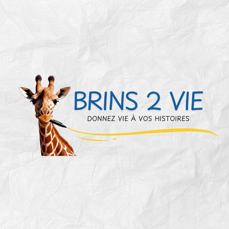 Logo entreprise BRINS2COM / BRINS2VIE